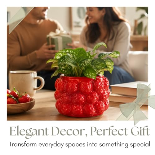 Fruit Inspired Planter for Indoor and Outdoor Display (Red / 6")