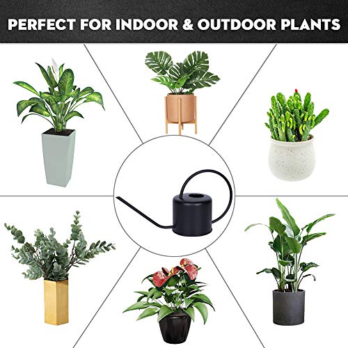 Watering Can Indoor Outdoor Stainless Steel Watering Cans for House Plants Long Spout Water Can for Succulent Bonsai Garden Flower (Watering Can-black)