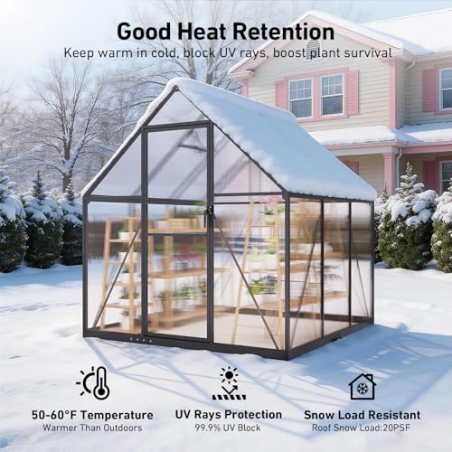 6x6 FT Walk in Greenhouse with Hygrometer (6x6 FT with thermometers)