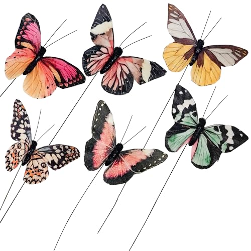 Artificial Feather 3D Butterfly Party Decorations Set of 12 with Wire 6 Color Ornaments for Home Decoration (B Wire)