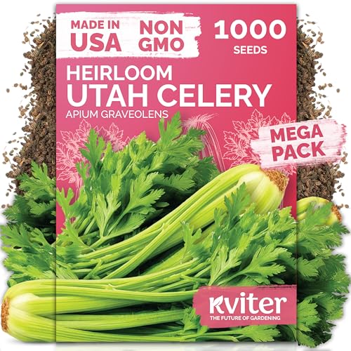 1 000 Tall Utah Celery Heirloom Vegetable Seeds