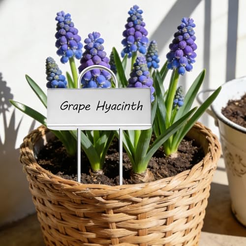 Small Size 304 Stainless Steel Plant Labels Metal Garden Plant Markers Weatherproof Stake Garden Plant Tags for Outdoor Seedling Flower (Stainless Steel-2.5 Inch Width)