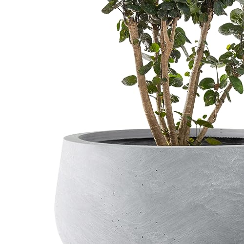 Small Round Bowl Blue Gray Concrete Planter 11.8" Dia (Slate Gray / 11.8"w)