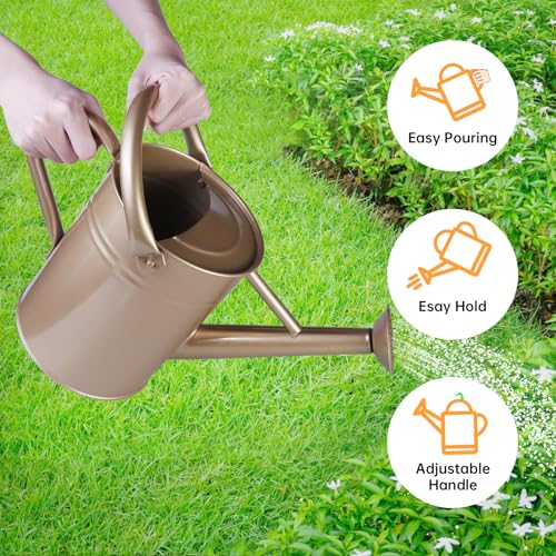 Metal Watering Can for Outdoor Plants (Gold)