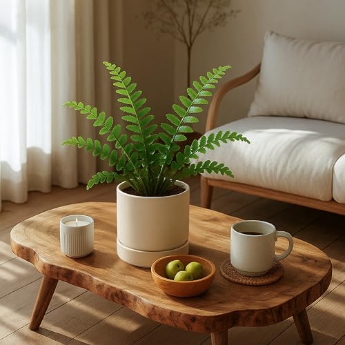 6 Inch Planter Pot with Drainage Hole & Saucer (6" (4 Pack) / Oatmeal)