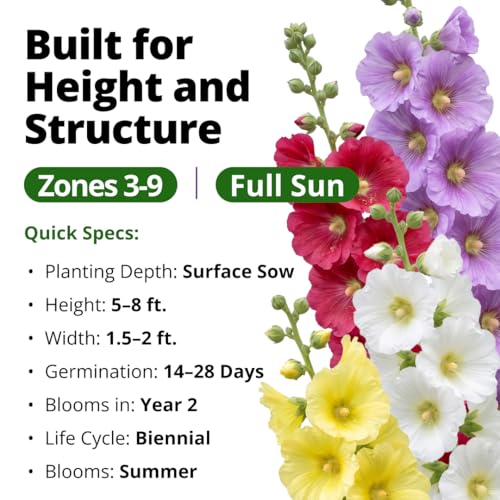 Hollyhock Single Mix 3000 Flower Seeds 1 oz