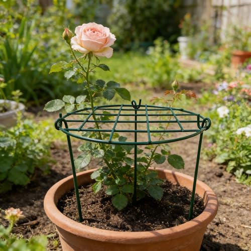 10 Pack 16 x 24 inch Green Peony Cages Grow Through Plant Support Stakes Flower Support Hoops Heavy Plants Brace Rings (Grid 10pack)