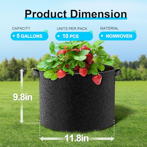 10 Pack Fabric Grow Bags 5 Gallon (Black / 5 Gallon)