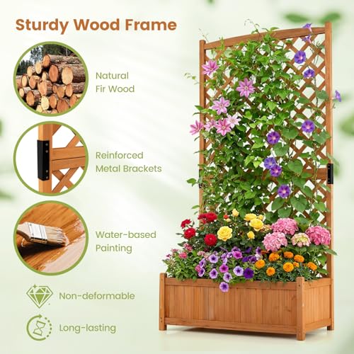 71" Raised Garden Bed with Trellis & Garden Box (2 Count)
