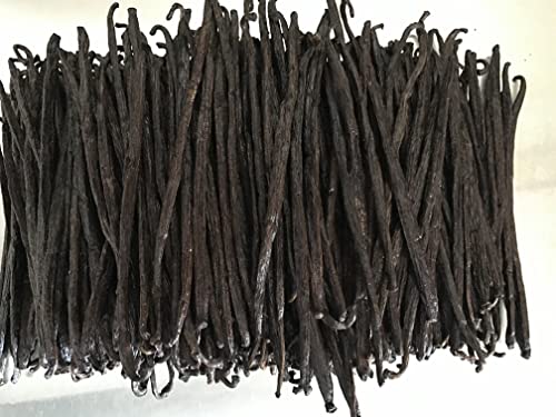 1oz Madagascar Vanilla Beans Grade B. Certified USDA Organic for extract (1 Ounce (Pack of 1))