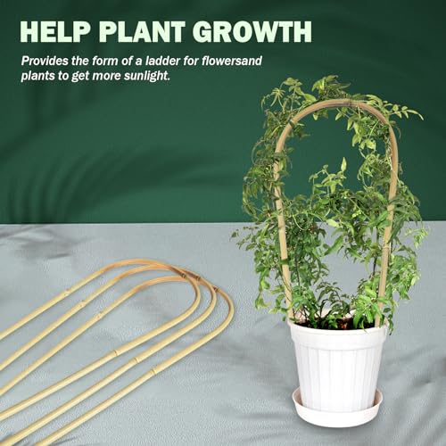 Natural U Hoops Bamboo Plants Trellis 4Ft (3 Count)
