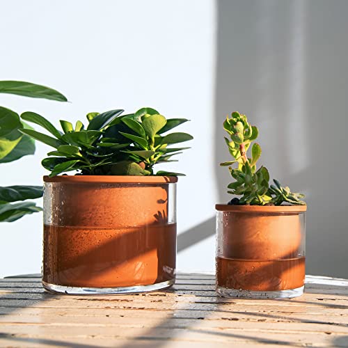 4 Inch 6 Inch Self Watering Plants Pots (4+6 Inch / Terracotta)