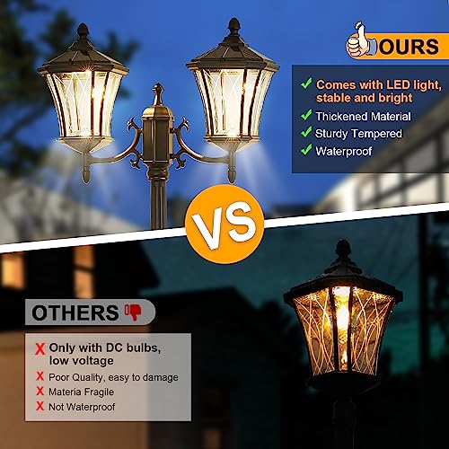 2 Head Outdoor Solar Lamp Post Lights with Waterproof (Xxl-2-s)