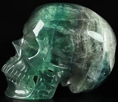 5.0" Fluorite Super Realistic Crystal Skull