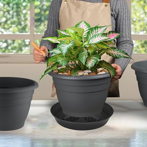 4 Pack Plant Saucer 8 inch
