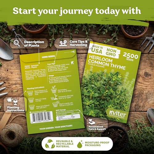 2500 Common Thyme Heirloom Herb Seeds for Planting