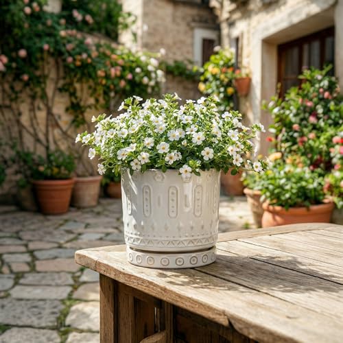 Ceramic Plant Saucer (5.6 Inch / Cream White)