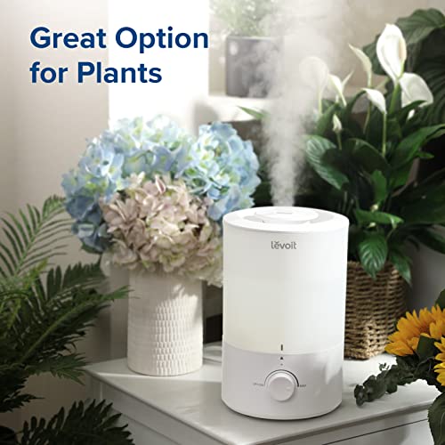 Humidifiers for Bedroom