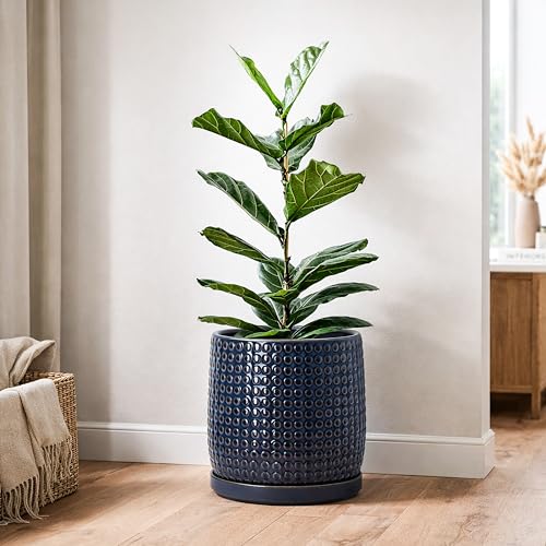 Beaded Ceramic Pot with Saucer (10.2 Inch / Midnight Blue)