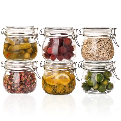 16oz 6 Pack Round Glass Jars with Airtight Lid
