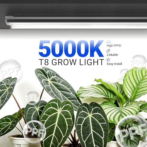 Plant Grow Lights (6 Count)