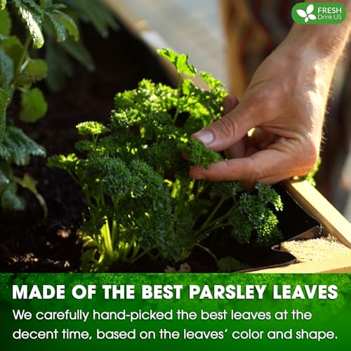 Premium 55 Parsley Leaf Tea Bags (55 Count)