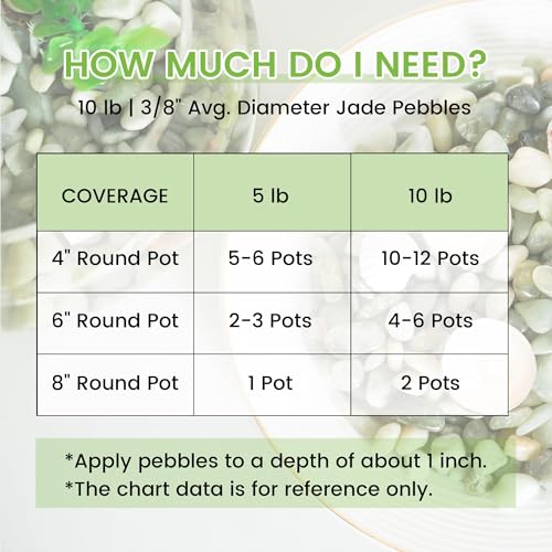 20 LB Jade Pebbles (20 Pounds / Jade)