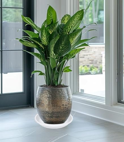 6 Pack of 10 inch Plant Saucer (10" (6 pack) / White)