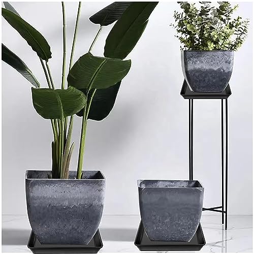 Square Plant Saucer 20 22 Inch 3 Pack