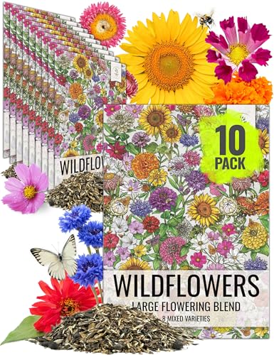 Wildflower Seeds Large Blooms Mix 10 Bulk Packs (10 Count)