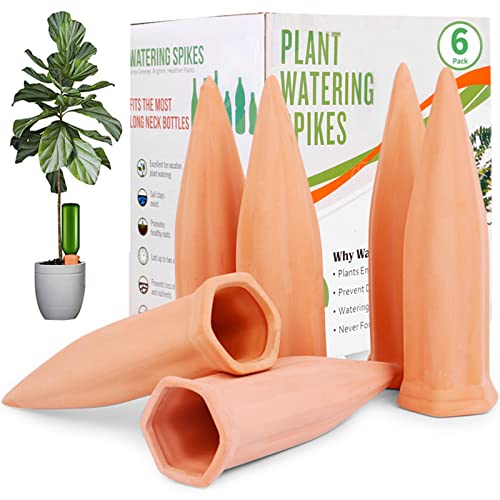 Plant Watering Spikes (6 Count)