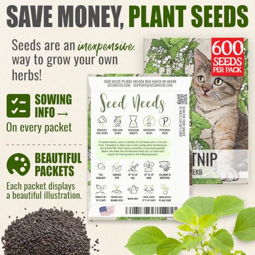 Catnip Seeds to Plant Heirloom Non (2 Packs)