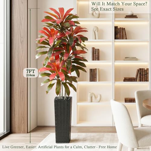 Artificial Dracaena Tree (Burgundy – Black Pot / 7FT)