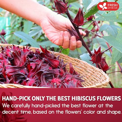 Premium 21oz Hibiscus Dried Flowers (22oz)