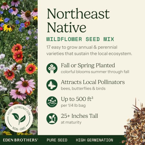 Native Northeast Wildflower Seed Mix (1 Ounce / Native Northeast)