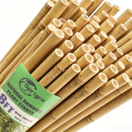 50pcs Bamboo Stakes 92 Inch (8FT, Pack of 50)