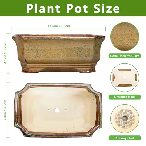 Bonsai Tree Pots 11.6 Inch (11 Inch / Rectangular Yellowish Brown)