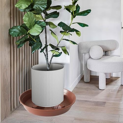 4 Pack Plant Saucer 10 inch (10"-4 Pack / Brown)