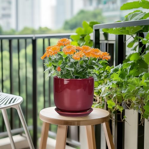 Ceramic Planter for Plants (7 Inch / Red)