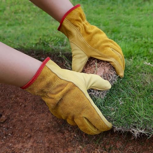 Leather Work Gloves for Men & Women (Gold(24 Pair) / Medium)
