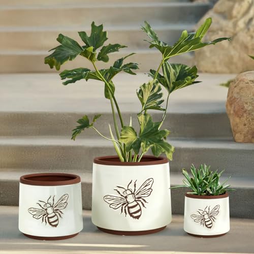 Terracotta Pots (8+6+4 Inch / White Bee)