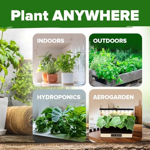 30 Herb Seeds for Planting 10