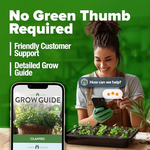 Cilantro Coriander Seeds (500 Count)