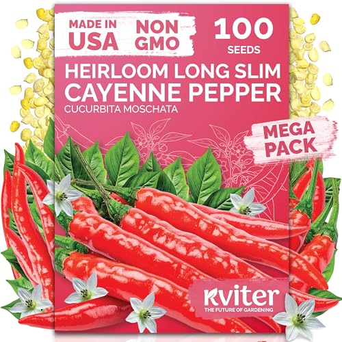 100 Cayenne Long Slim Hot Pepper Heirloom Vegetable Seeds