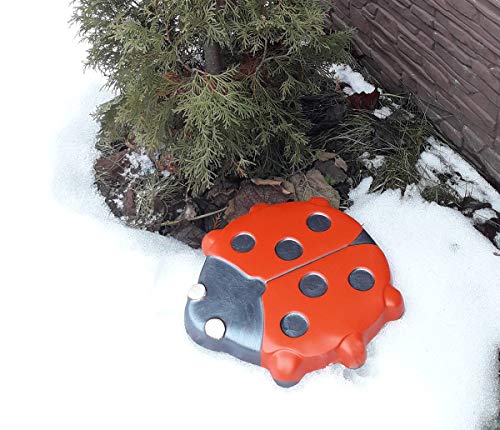Ladybug Stepping Stone Mold Concrete Cement Mould ABS Moth Garden Path #S49 (Big 15.55 in)