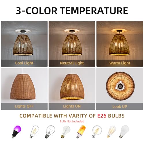 16.5" Rattan Pendant Light (Dark+Curry / 16.54" 3-Light)