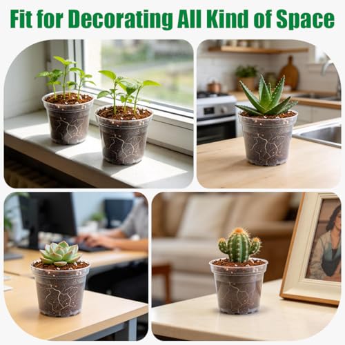 50 Pack 3 Inch Clear Nursery Pots with Drainage Hole (Clear / 3 Inch-50P)