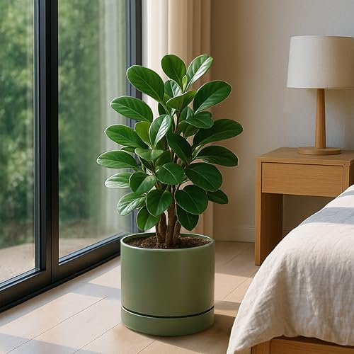 8 Inch Planter Pot with Drainage Hole & Saucer (8" (1 Pack) / Olive)