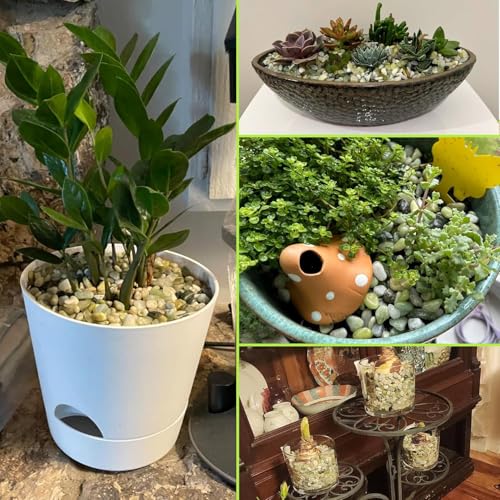 45lb Jade Bean Stone (45 lb(new) / Light Green)