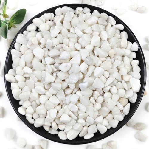 10LB Succulent and Cactus Gravel Pebbles